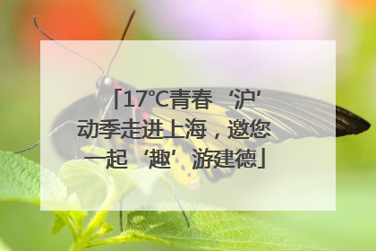 17℃青春‘沪’动季走进上海，邀您一起‘趣’游建德